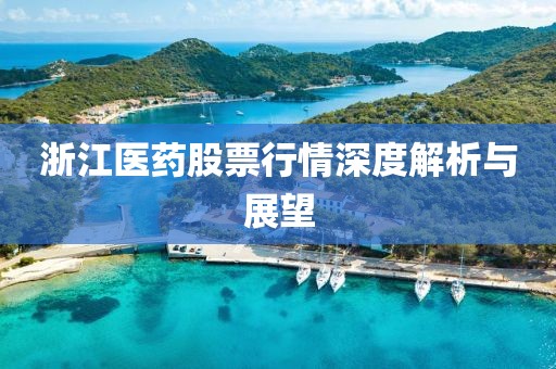 浙江醫(yī)藥股票行情深度解析與展望