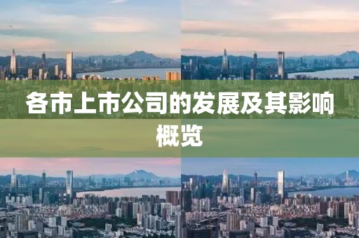 各市上市公司的發(fā)展及其影響概覽