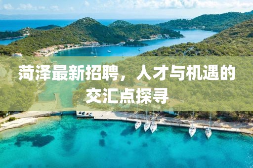菏澤最新招聘，人才與機(jī)遇的交匯點(diǎn)探尋