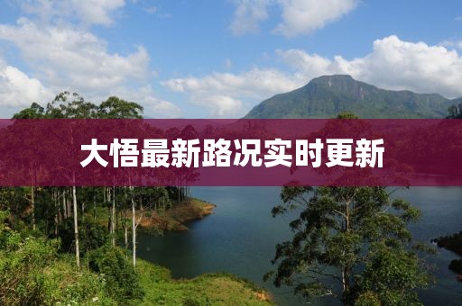 大悟最新路況實時更新
