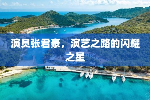 演員張君豪，演藝之路的閃耀之星