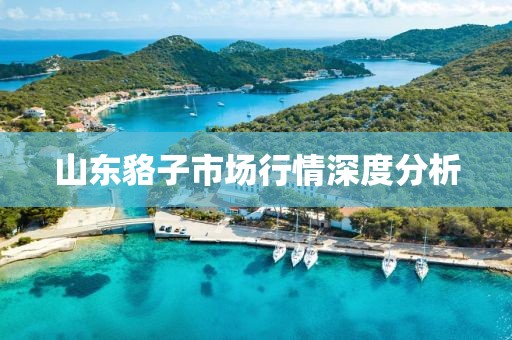 第3084頁
