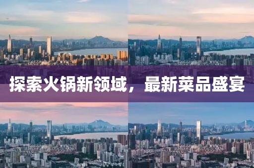 探索火鍋新領(lǐng)域，最新菜品盛宴