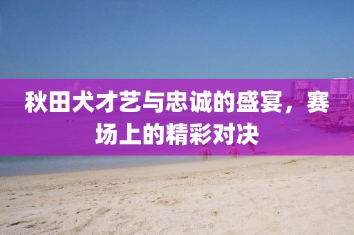 秋田犬才藝與忠誠的盛宴，賽場上的精彩對(duì)決