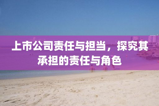 上市公司責(zé)任與擔(dān)當(dāng)，探究其承擔(dān)的責(zé)任與角色