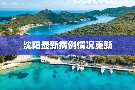 沈陽最新病例情況更新
