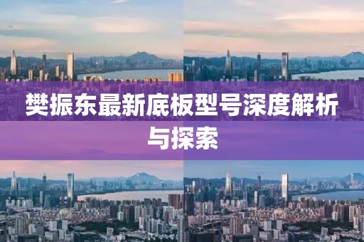 樊振東最新底板型號(hào)深度解析與探索