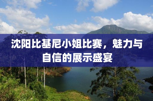 沈陽比基尼小姐比賽，魅力與自信的展示盛宴