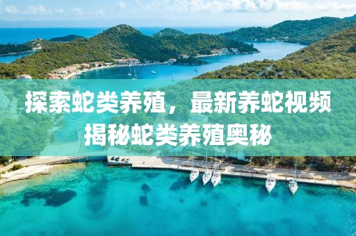 探索蛇類養(yǎng)殖，最新養(yǎng)蛇視頻揭秘蛇類養(yǎng)殖奧秘