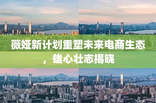 薇婭新計劃重塑未來電商生態(tài)，雄心壯志揭曉