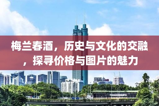 梅蘭春酒，歷史與文化的交融，探尋價(jià)格與圖片的魅力