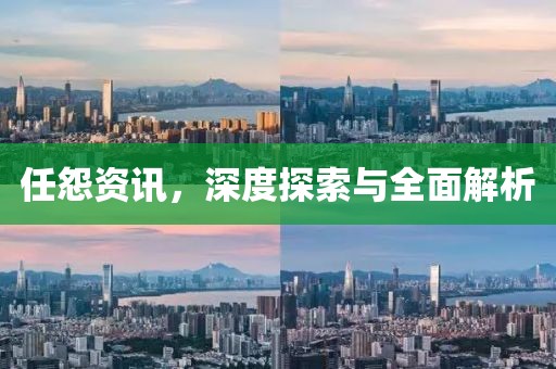 任怨資訊，深度探索與全面解析