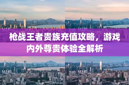 槍戰(zhàn)王者貴族充值攻略，游戲內(nèi)外尊貴體驗(yàn)全解析