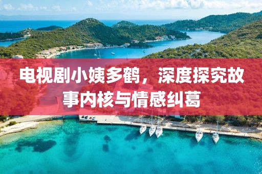 電視劇小姨多鶴，深度探究故事內(nèi)核與情感糾葛