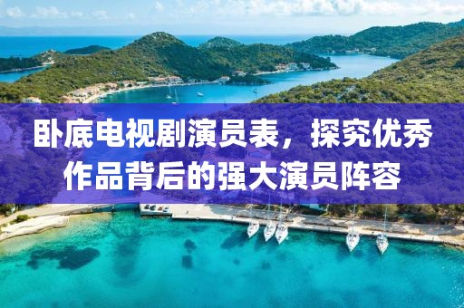 臥底電視劇演員表，探究優(yōu)秀作品背后的強大演員陣容