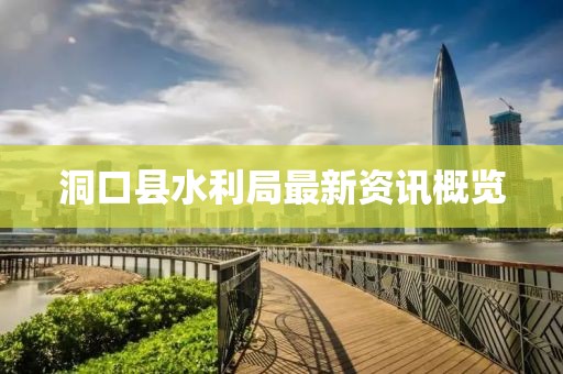 洞口縣水利局最新資訊概覽