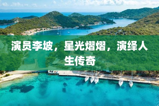 演員李坡，星光熠熠，演繹人生傳奇