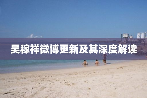 吳稼祥微博更新及其深度解讀