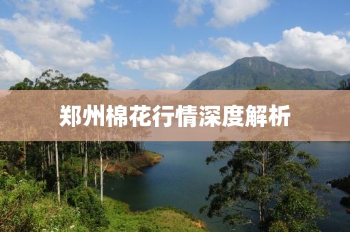 鄭州棉花行情深度解析