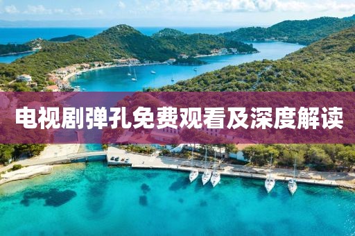電視劇彈孔免費(fèi)觀看及深度解讀