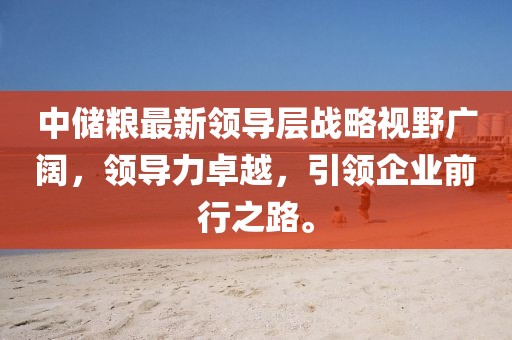 中儲(chǔ)糧最新領(lǐng)導(dǎo)層戰(zhàn)略視野廣闊，領(lǐng)導(dǎo)力卓越，引領(lǐng)企業(yè)前行之路。