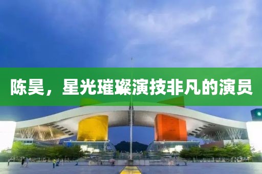 陳昊，星光璀璨演技非凡的演員