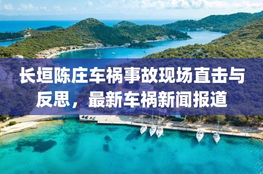 長垣陳莊車禍事故現(xiàn)場直擊與反思，最新車禍新聞報道