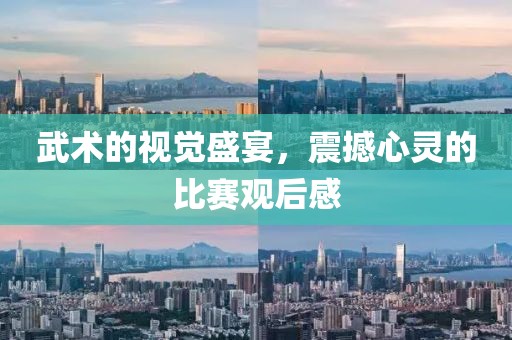 武術(shù)的視覺(jué)盛宴，震撼心靈的比賽觀后感