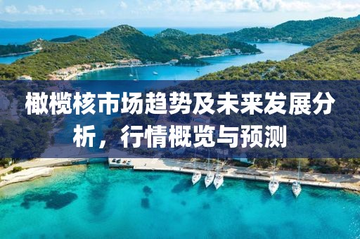 橄欖核市場趨勢及未來發(fā)展分析，行情概覽與預(yù)測