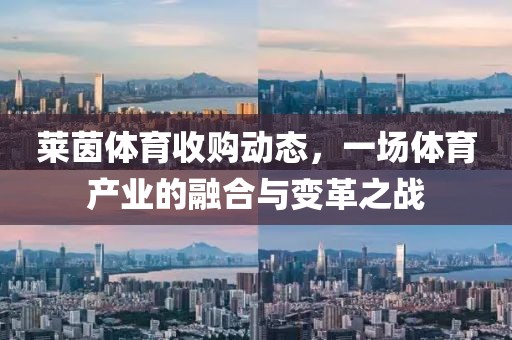 萊茵體育收購動態(tài)，一場體育產(chǎn)業(yè)的融合與變革之戰(zhàn)