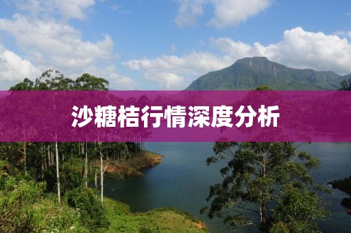 沙糖桔行情深度分析