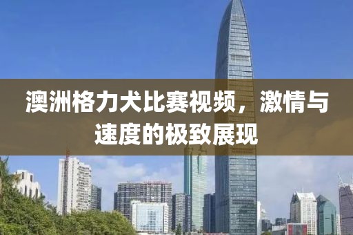澳洲格力犬比賽視頻，激情與速度的極致展現(xiàn)