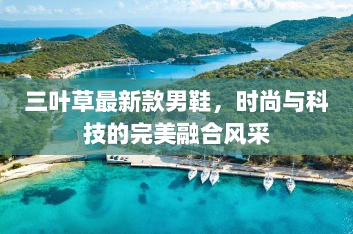 三葉草最新款男鞋，時(shí)尚與科技的完美融合風(fēng)采