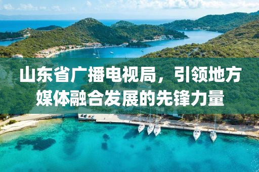 山東省廣播電視局，引領(lǐng)地方媒體融合發(fā)展的先鋒力量