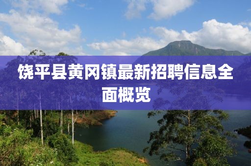 饒平縣黃岡鎮(zhèn)最新招聘信息全面概覽
