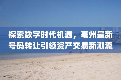 探索數(shù)字時(shí)代機(jī)遇，亳州最新號(hào)碼轉(zhuǎn)讓引領(lǐng)資產(chǎn)交易新潮流