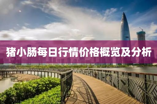 豬小腸每日行情價格概覽及分析