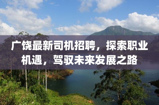 廣饒最新司機(jī)招聘，探索職業(yè)機(jī)遇，駕馭未來發(fā)展之路
