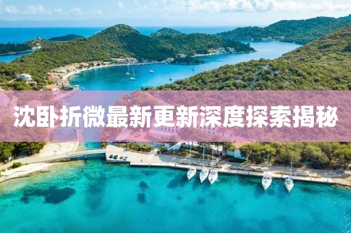 沈臥折微最新更新深度探索揭秘