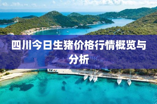 四川今日生豬價格行情概覽與分析