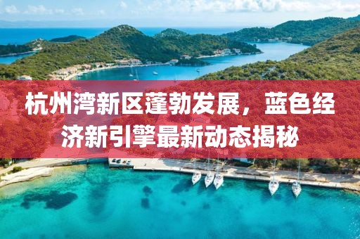 杭州灣新區(qū)蓬勃發(fā)展，藍(lán)色經(jīng)濟(jì)新引擎最新動(dòng)態(tài)揭秘