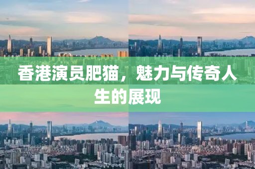 香港演員肥貓，魅力與傳奇人生的展現(xiàn)