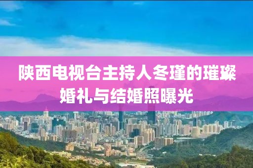 陜西電視臺主持人冬瑾的璀璨婚禮與結(jié)婚照曝光