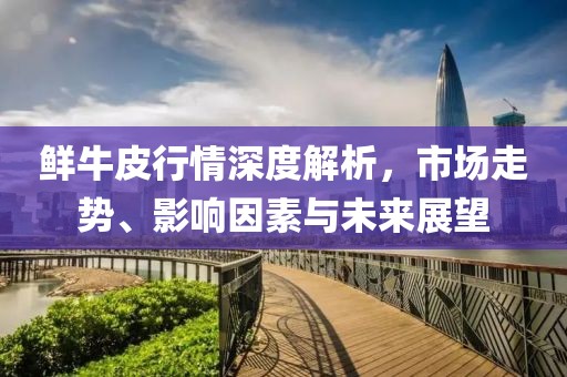 鮮牛皮行情深度解析，市場(chǎng)走勢(shì)、影響因素與未來展望