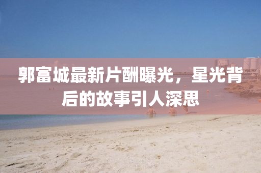 郭富城最新片酬曝光，星光背后的故事引人深思