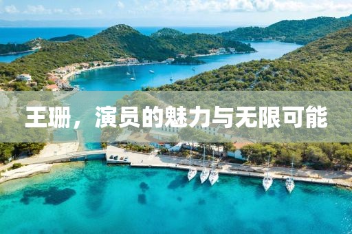 王珊，演員的魅力與無限可能