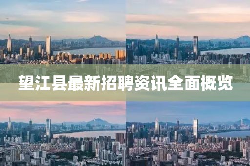 望江縣最新招聘資訊全面概覽