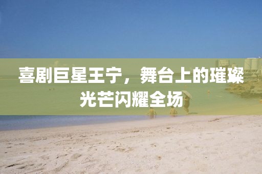 喜劇巨星王寧，舞臺(tái)上的璀璨光芒閃耀全場