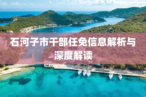 石河子市干部任免信息解析與深度解讀