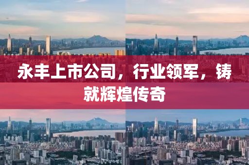 永豐上市公司，行業(yè)領(lǐng)軍，鑄就輝煌傳奇
